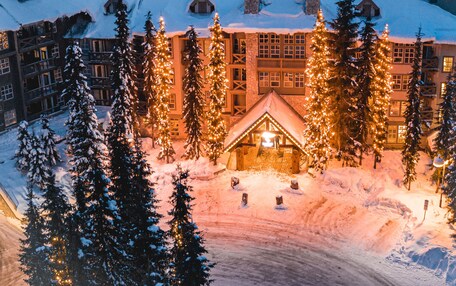 A snow-covered lodge with multiple buildings, surrounded by snow-laden trees and a ski slope in the background.