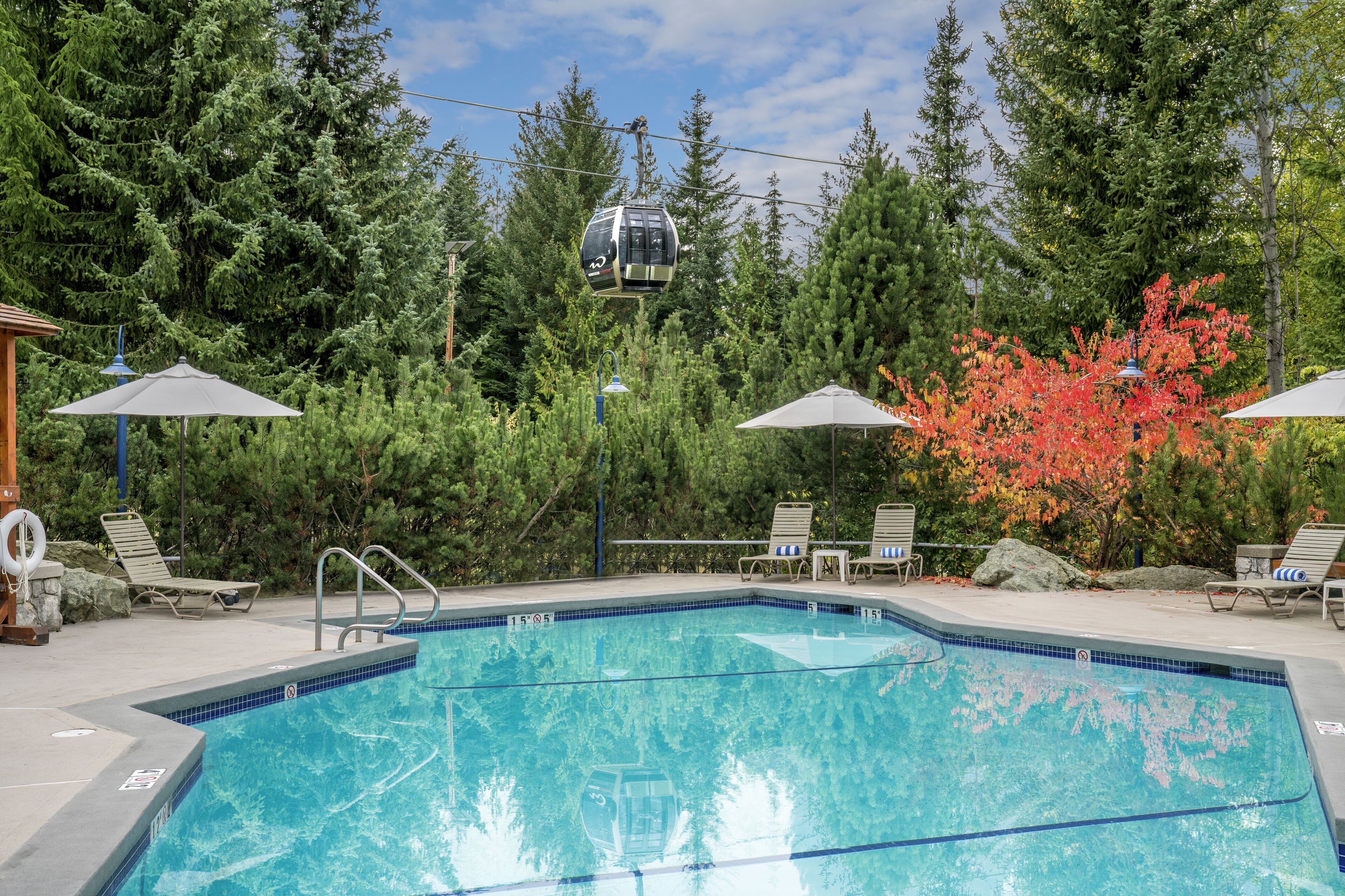 A swimming pool with lounge chairs and umbrellas, surrounded by trees and a cable car.