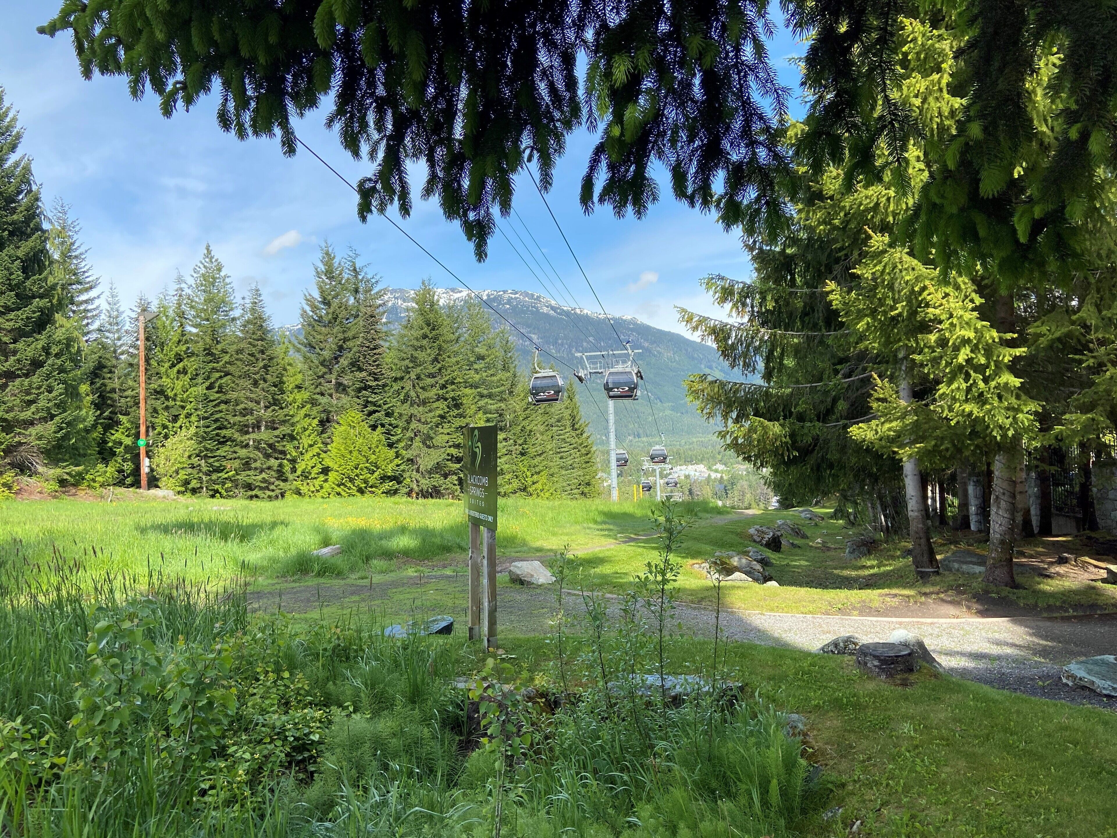 Foto - Blackcomb Springs Suites by CLIQUE