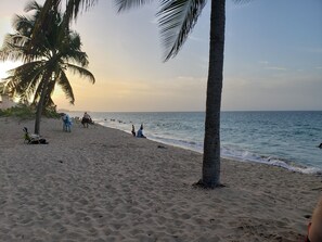 Chaises longues, serviettes de plage
