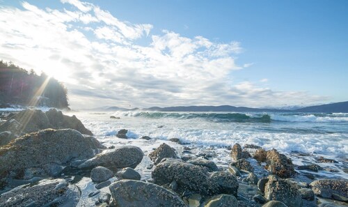 Summer Adventure in Juneau, 5 BR's, Sleeps 12.