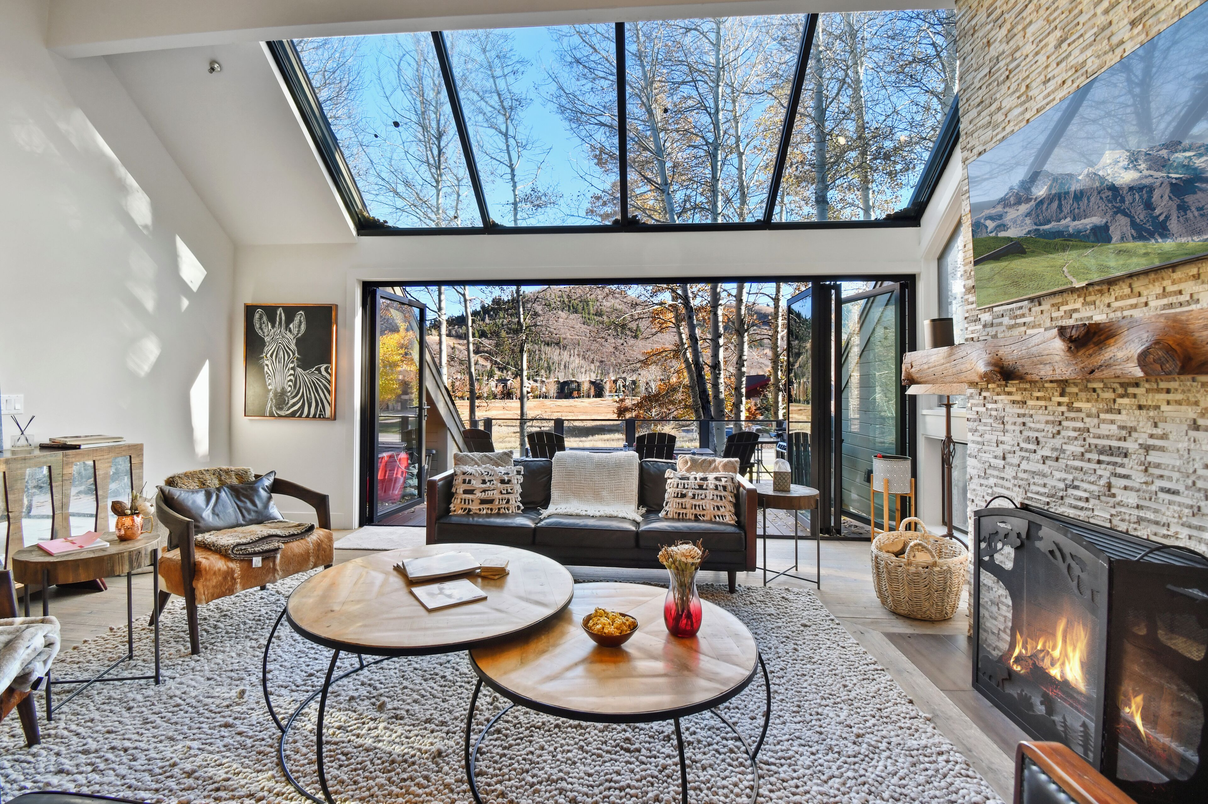 TV, fireplace, DVD player