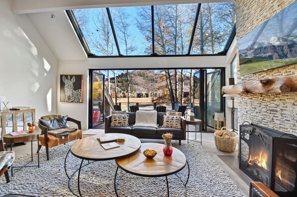 Televisión, chimenea y reproductor de DVD