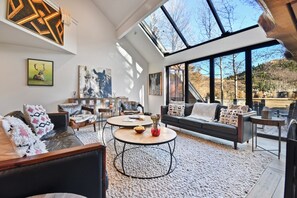 Televisión, chimenea y reproductor de DVD