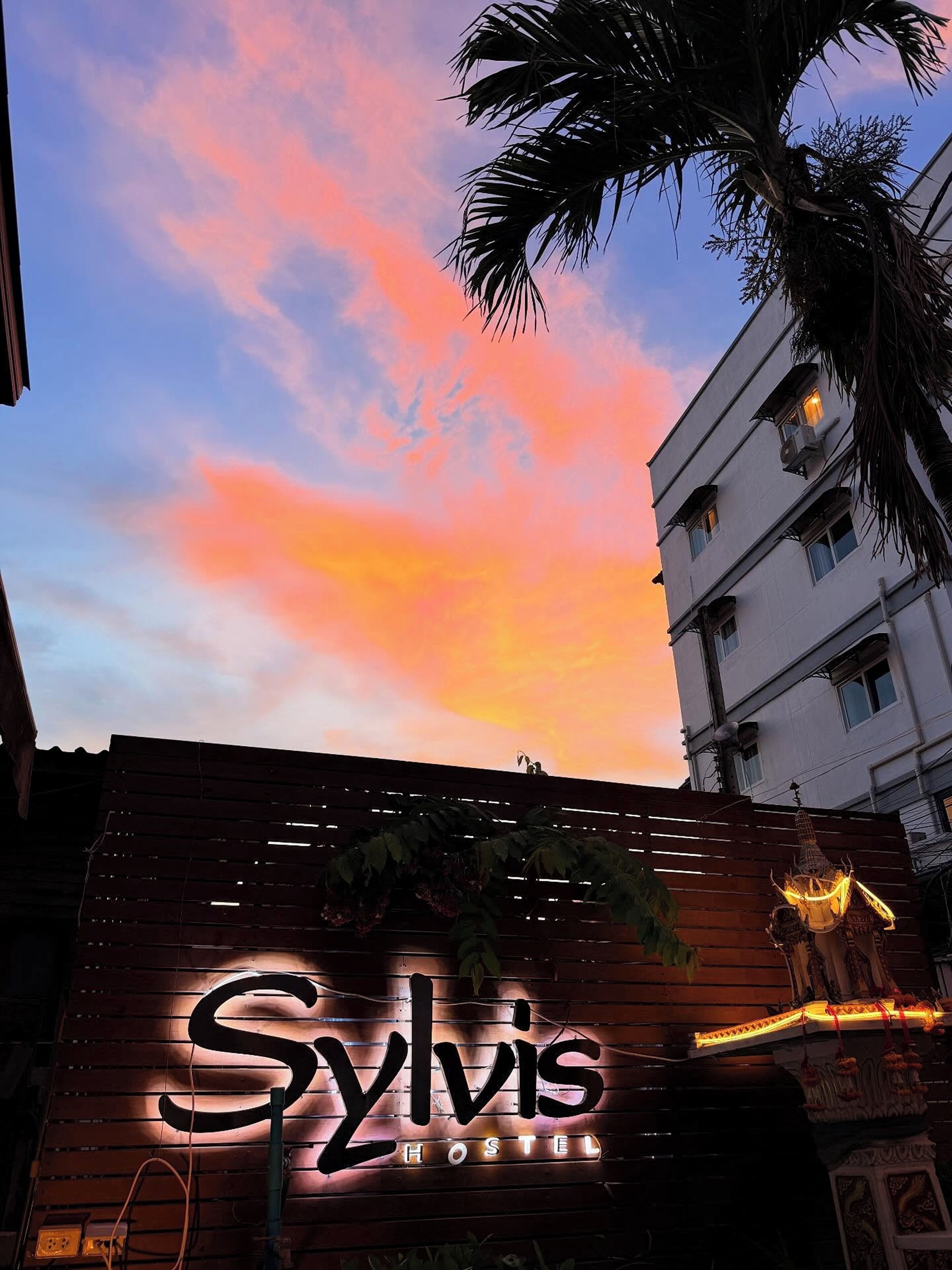 A hostel sign with a neon light, a wooden fence, and a palm tree.