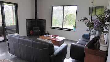Televisor, llar de foc, reproductor de DVD i llibres