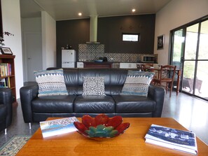 Televisio, takka, DVD-soitin, kirjoja