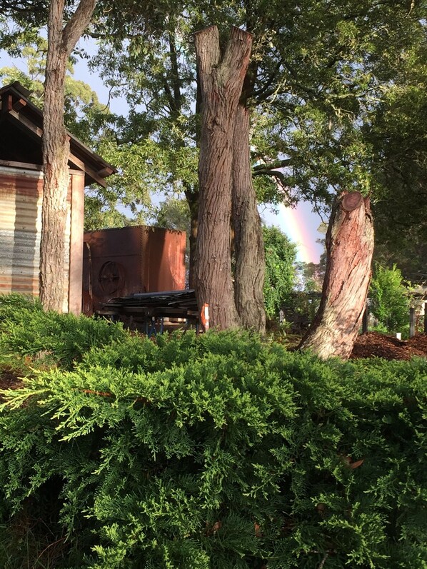 A residential area with a large tree, a wooden structure, and a rainbow in the background. - Churchlane Chalet Albany (Kalgan)