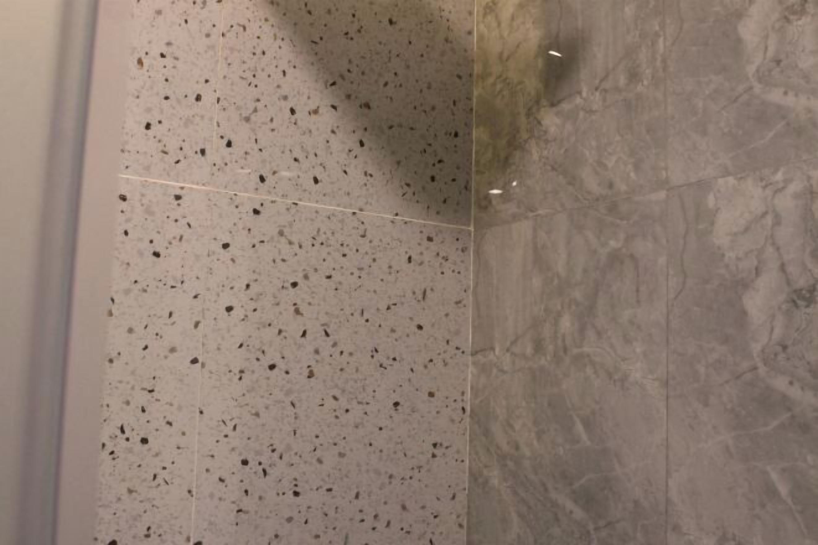 Salle de bain | Douche, articles de toilette (gratuits), serviettes fournies