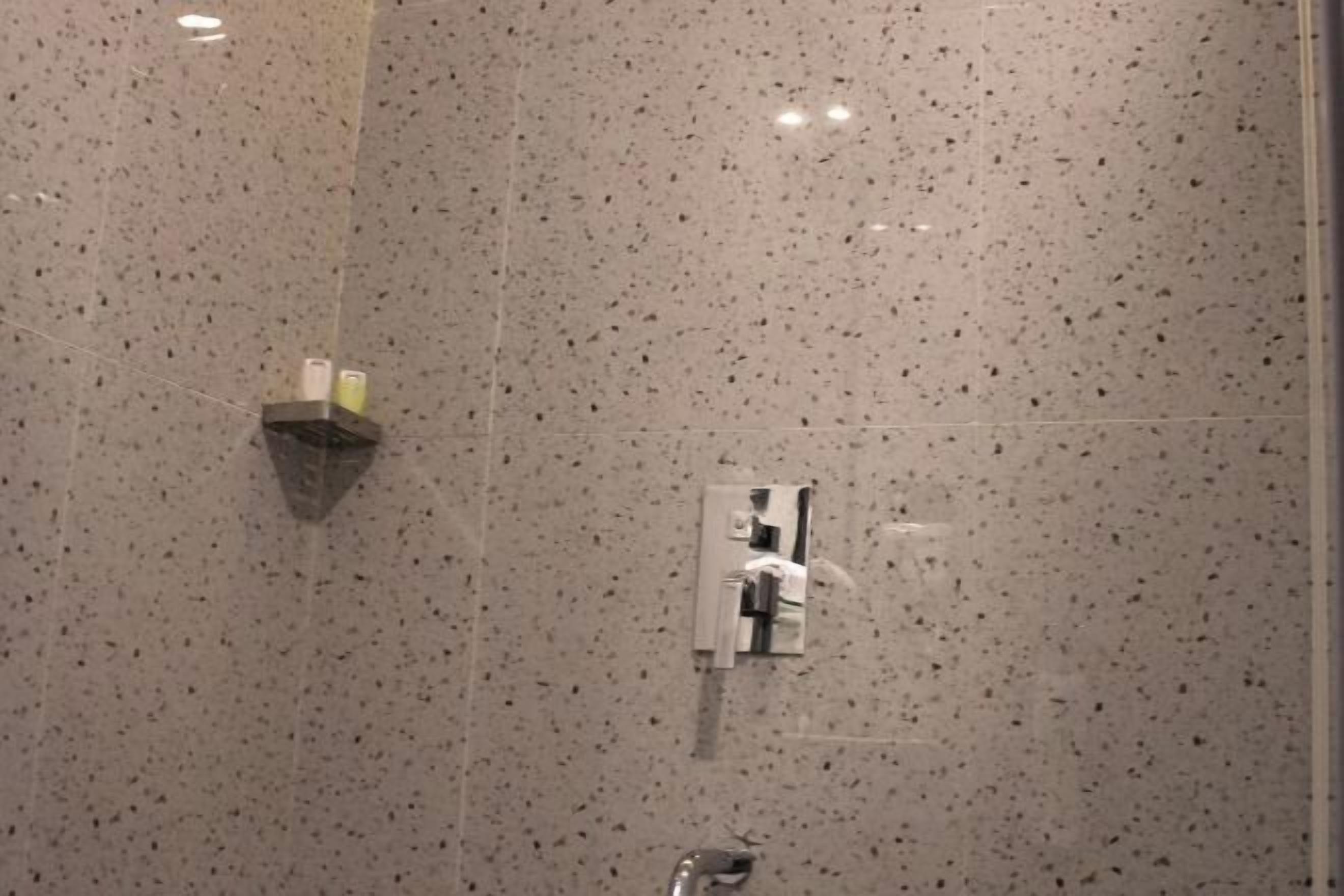 Douche, articles de toilette (gratuits), serviettes fournies