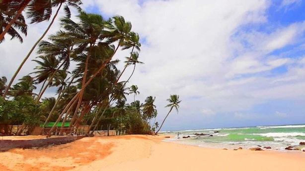 On the beach, white sand, sun loungers, beach umbrellas - Akurala Beach Boutique Resort (Akurala)