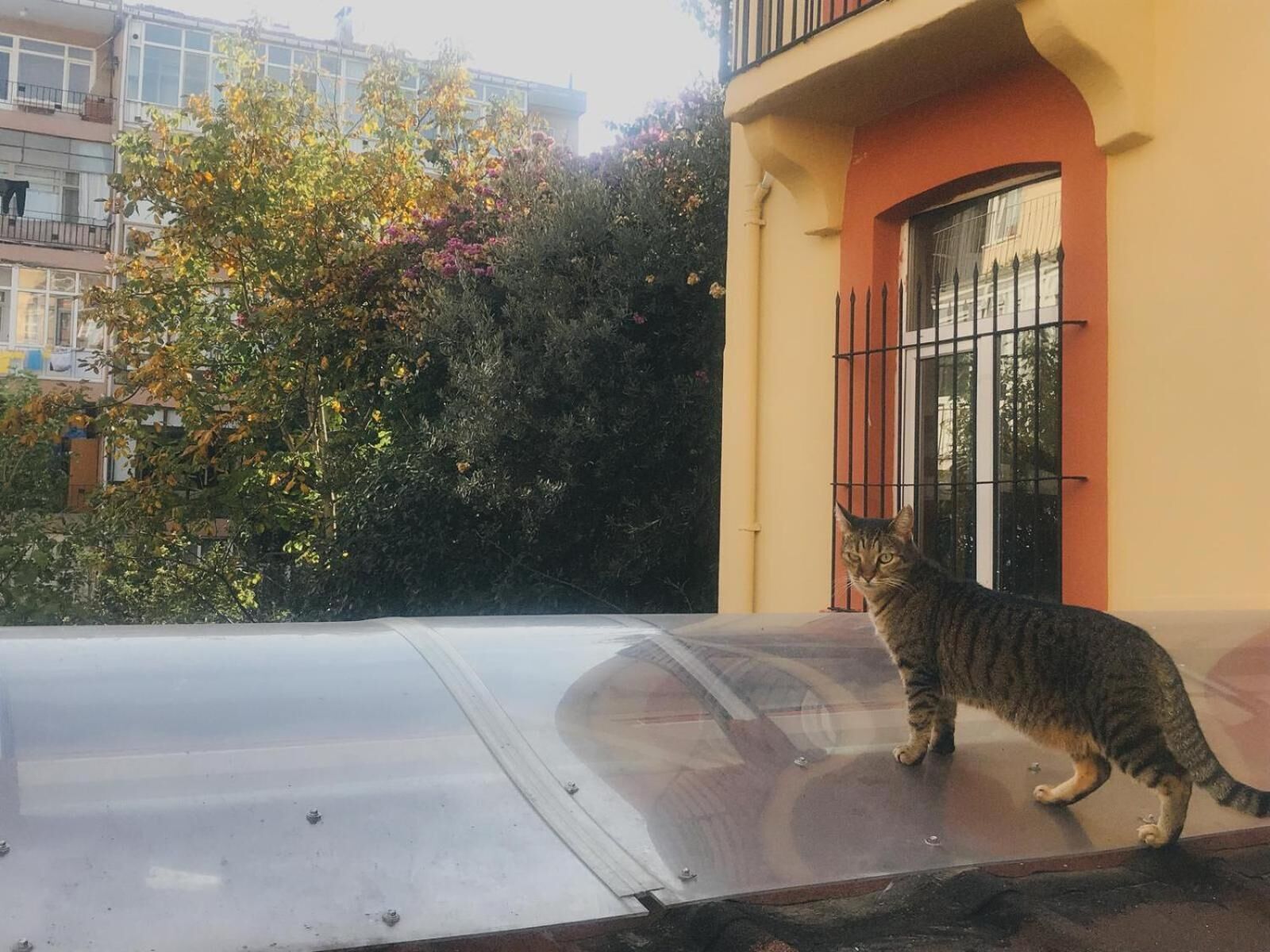 Foto - Kalkedon Hostel