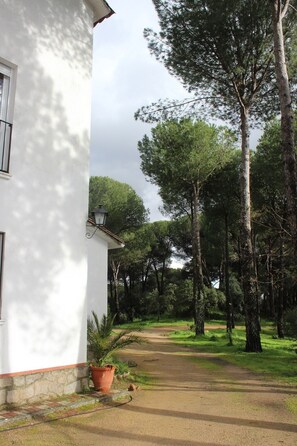 Property grounds - Rural tourist housing in the Sierra de Andújar: Viña Concepción (Andújar)