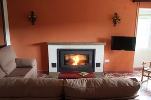 TV, fireplace, books