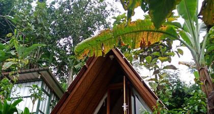 ECOcamp Bedugul