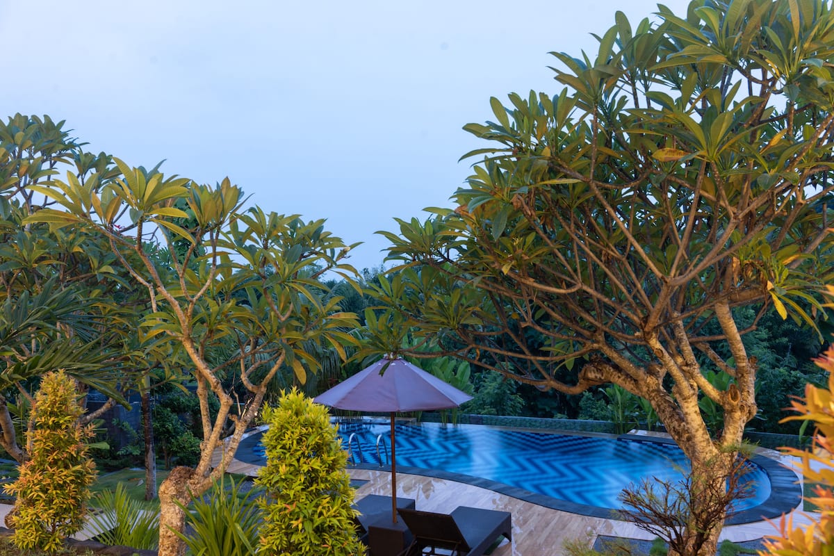 A swimming pool surrounded by lush greenery and a patio area with a table and chairs.