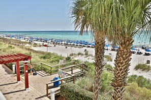 Una playa con muelle de madera, palmeras y sombrillas.