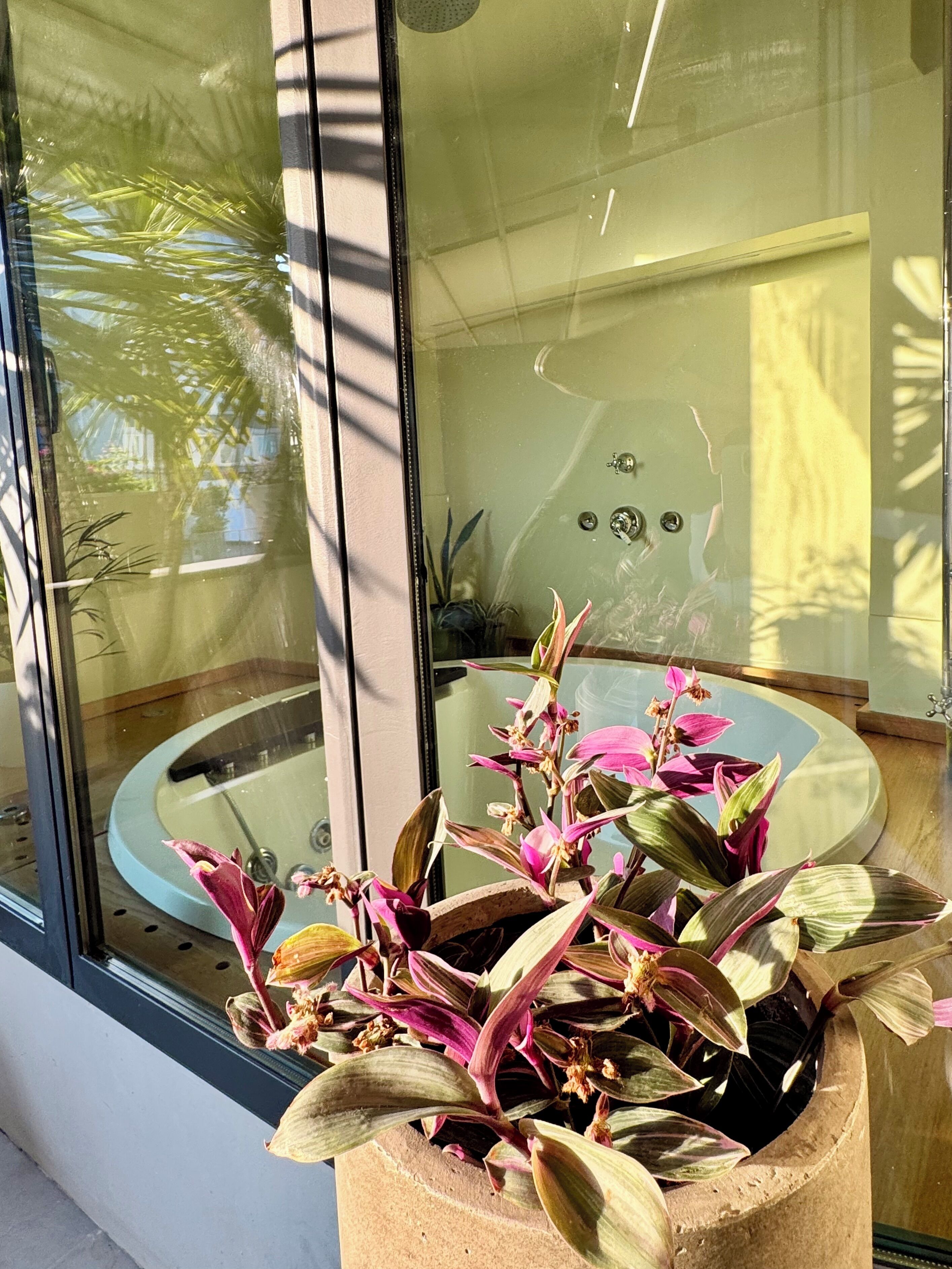 Un espace de détente avec un jacuzzi, une plante en pot aux fleurs roses et une fenêtre en verre qui reflète le paysage extérieur.