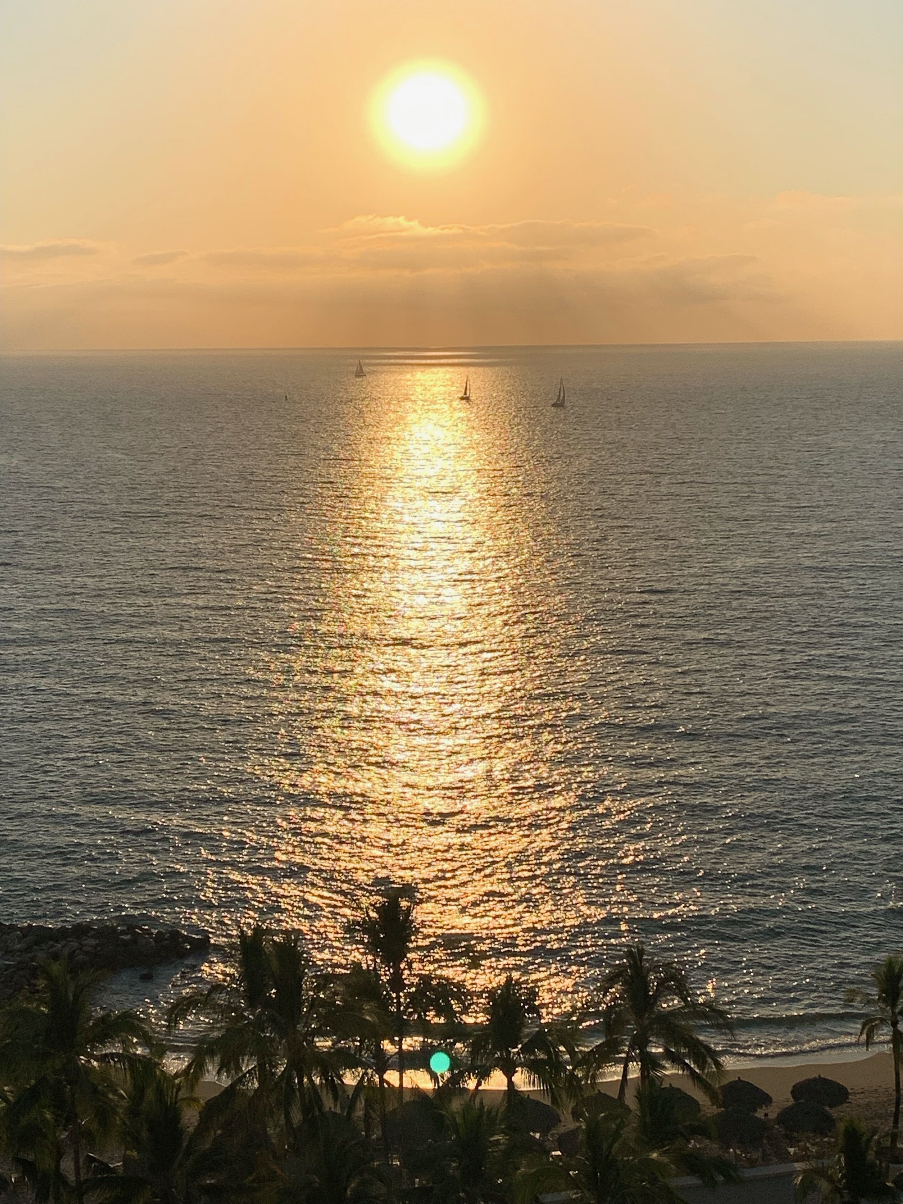 A sunset over the ocean with boats and palm trees.