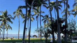 A landscaped area with palm trees, a pathway, and a view of the ocean. - Ocean view 1King Bedroom/2BA, kitchen, private balcony, sofa bed, beachfront (Puerto Vallarta)