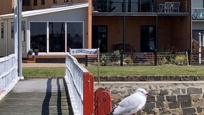 Propiedad frente al mar con barandilla roja, una gaviota posada sobre ella y un letrero que dice "Boat Harbour Jetty".