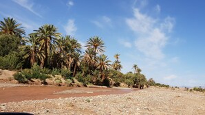 A dry riverbed with palm trees and sparse vegetation. - Gîte Kasbah La palmeraie (Skoura)