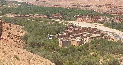 Gîte Kasbah La palmeraie