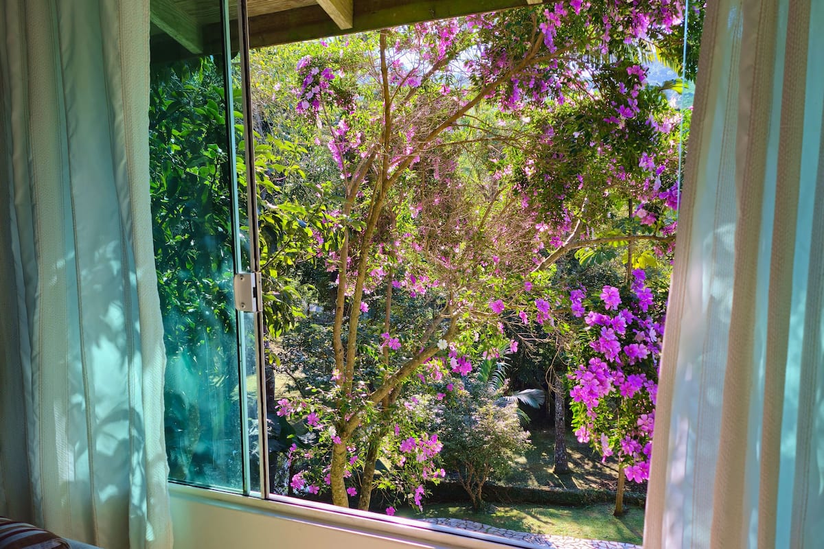 A room with a large window, a striped sofa, and a view of trees with purple flowers.