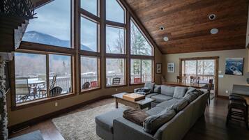 Télévision, cheminée, lecteur de DVD, chaîne hi-fi