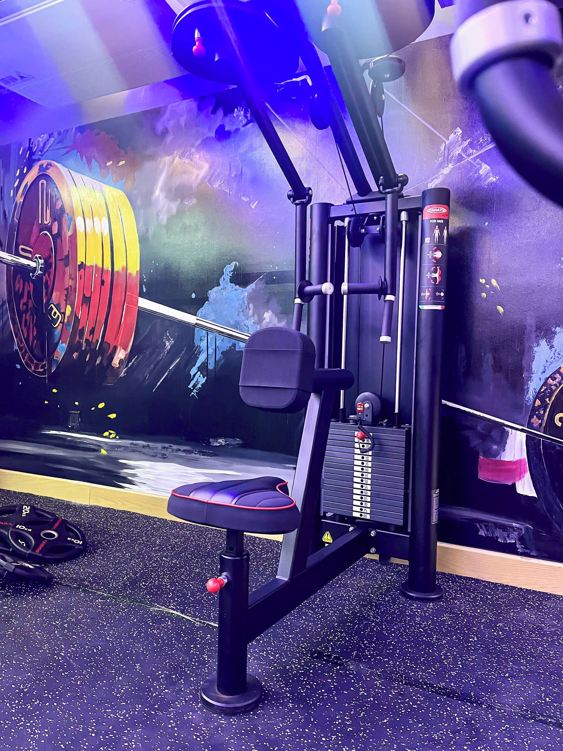 A gym with a squat rack, bench press, and a wall with a colorful mural.