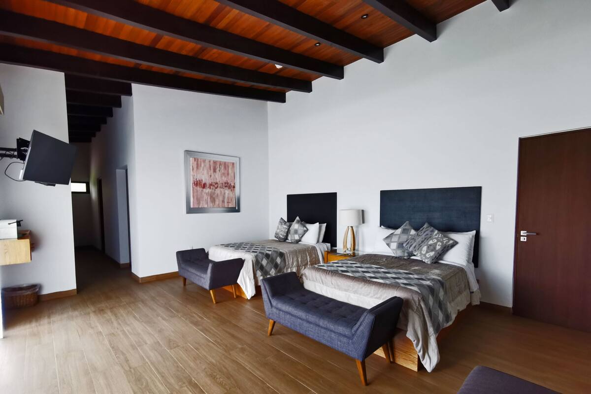 Suite estudio Deluxe | Ropa de cama de alta calidad, edredón y camas Select Comfort 