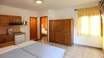 A bedroom with a bed, a wardrobe, a kitchenette, and a bathroom.