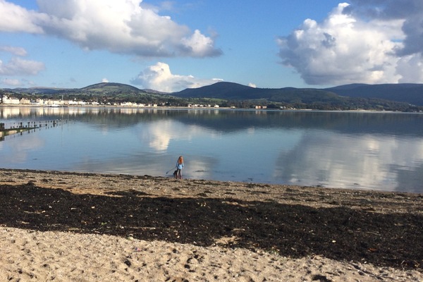 Carlingford Lough view, 5 minute walk from the house.