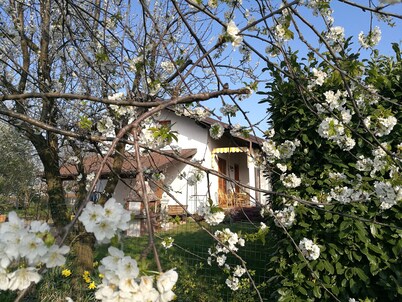 Accommodation in delightful cottage in Giaveno CIR00111500011 CIN IT001115C286W593TP