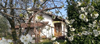 Indkvartering i en dejlig hytte i Giaveno