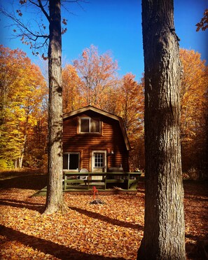 Exterior - Bonfire Holler Cabin (Frederic)