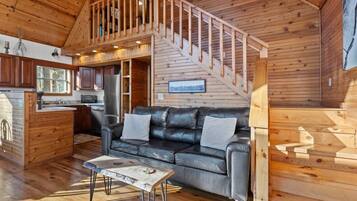 Smart TV, caminetto, lettore DVD, libri