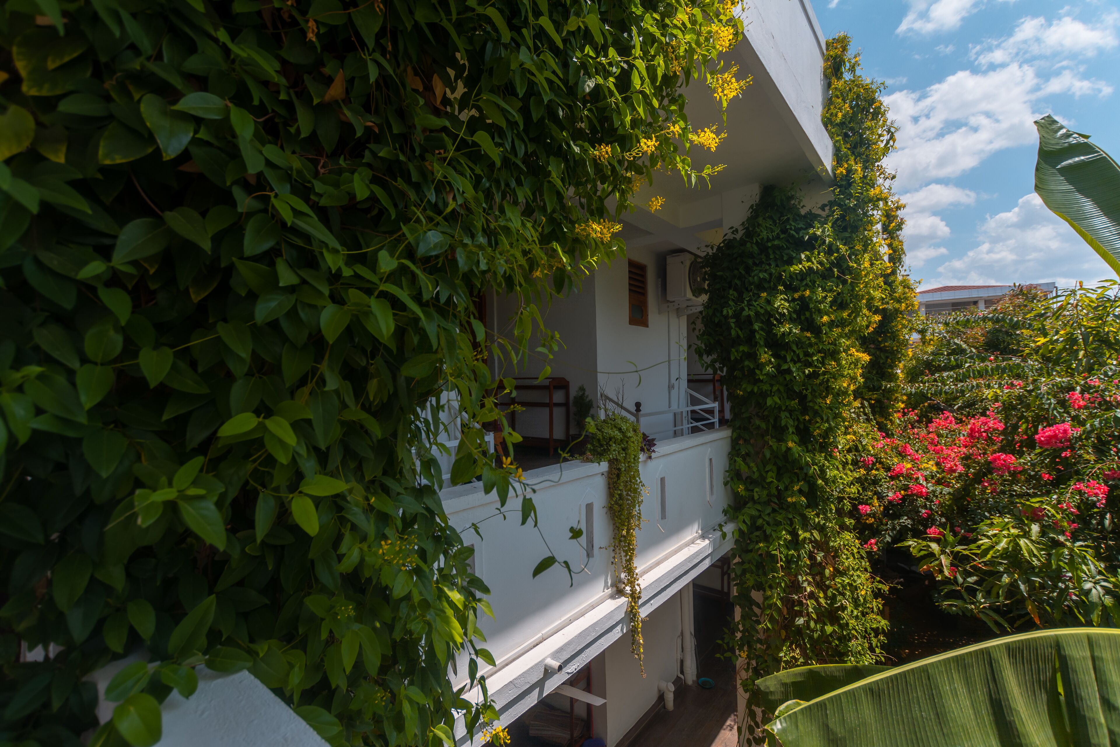 Chambre Double Deluxe | Vue sur le jardin