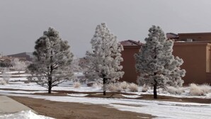 Zona residencial con suelo cubierto de nieve y árboles, una calle pavimentada y un edificio con techo rojo.