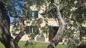 A building with a beige facade, a wooden door, and a bench in the foreground. - Small villa in the hills in the Marche region. Relaxation, Privacy 10 km > sea (Pesaro)