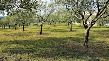 Parco della struttura