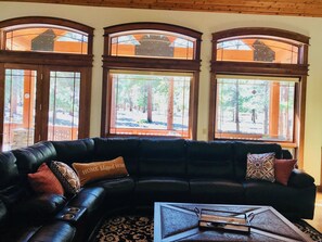 Televisio, takka, kirjoja, työhuone