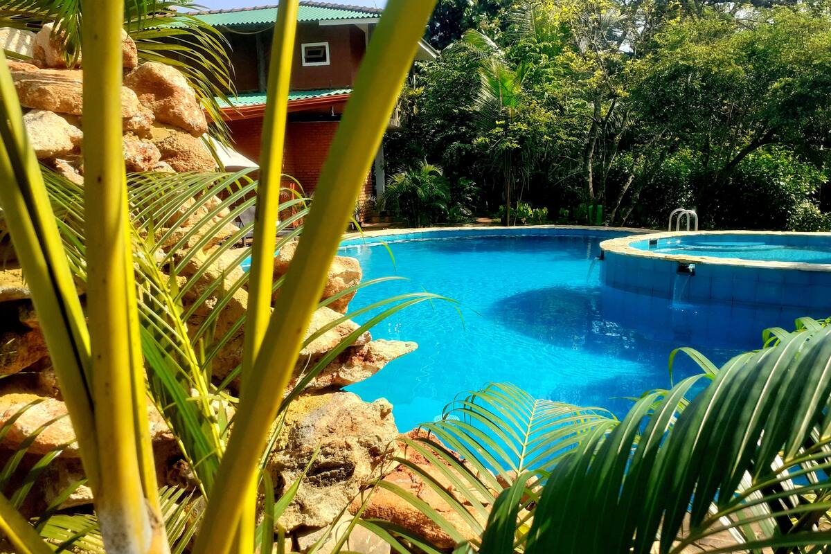 Uma piscina rodeada por pedras e palmeiras, com um edifício ao fundo.