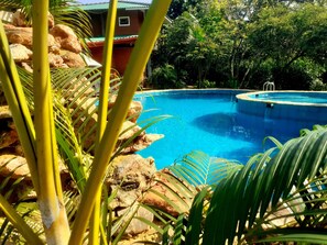 A swimming pool surrounded by rocks and palm trees, with a building in the background. - Sigiri Heritage Villa (Sigiriya)