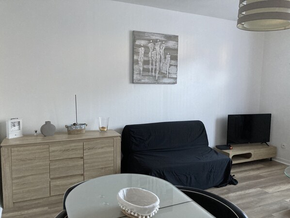 TV, DVD player - 300m from the beach, bright apartment (Dieppe)