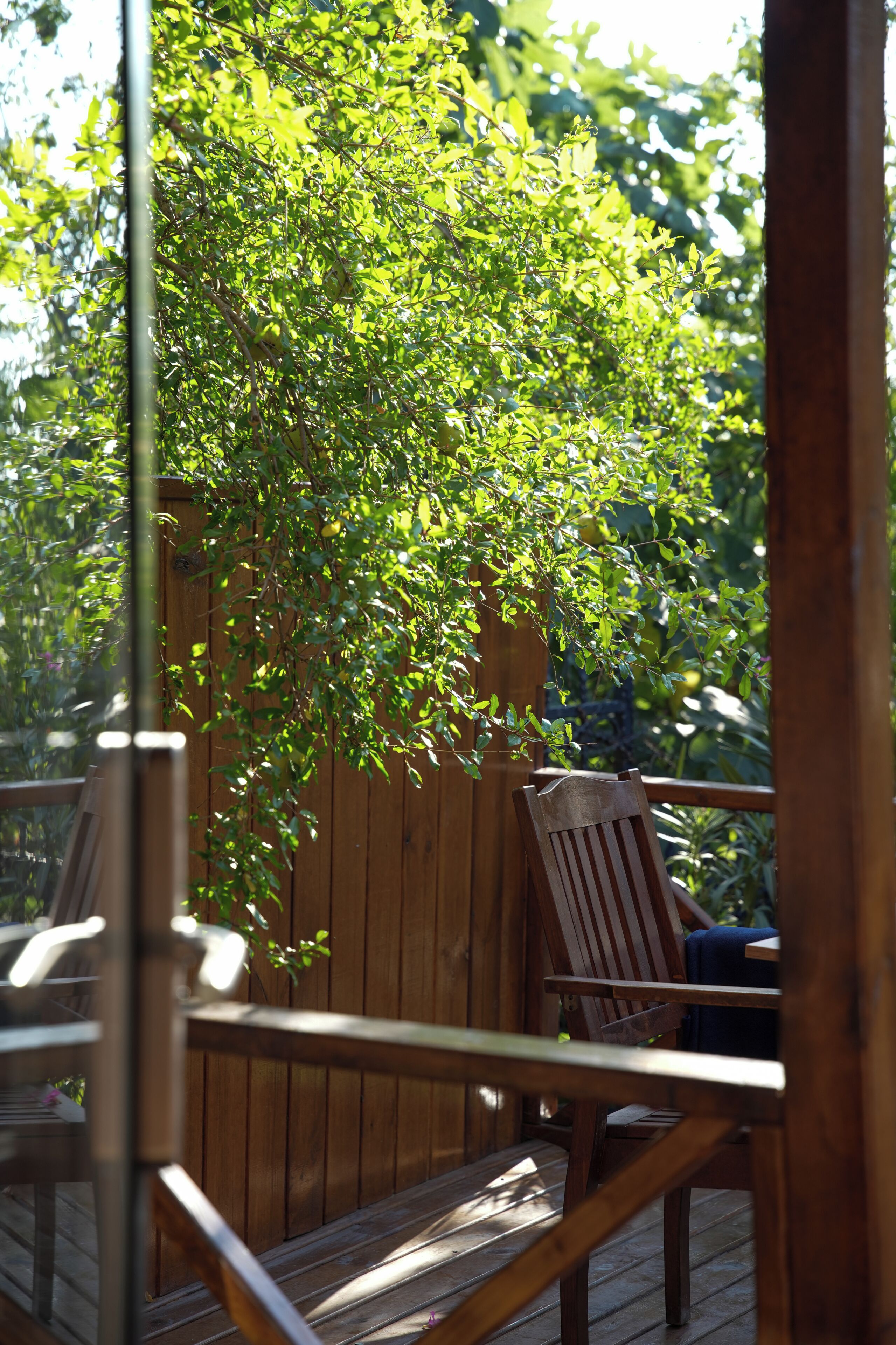 Junior kamer (Junior suite with jetted tube) | Terras