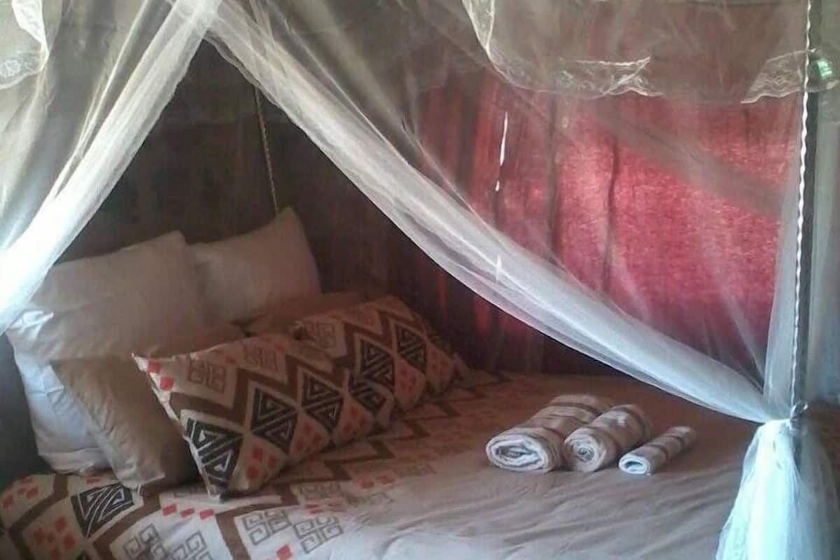 Basic Double or Twin Room | Desk, iron/ironing board, free WiFi, bed sheets
