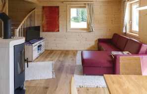 TV, fireplace, DVD player
