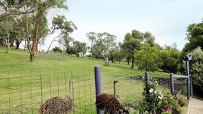 Property grounds - Adventures at Sue's Retreat ....... (Mount Gambier)