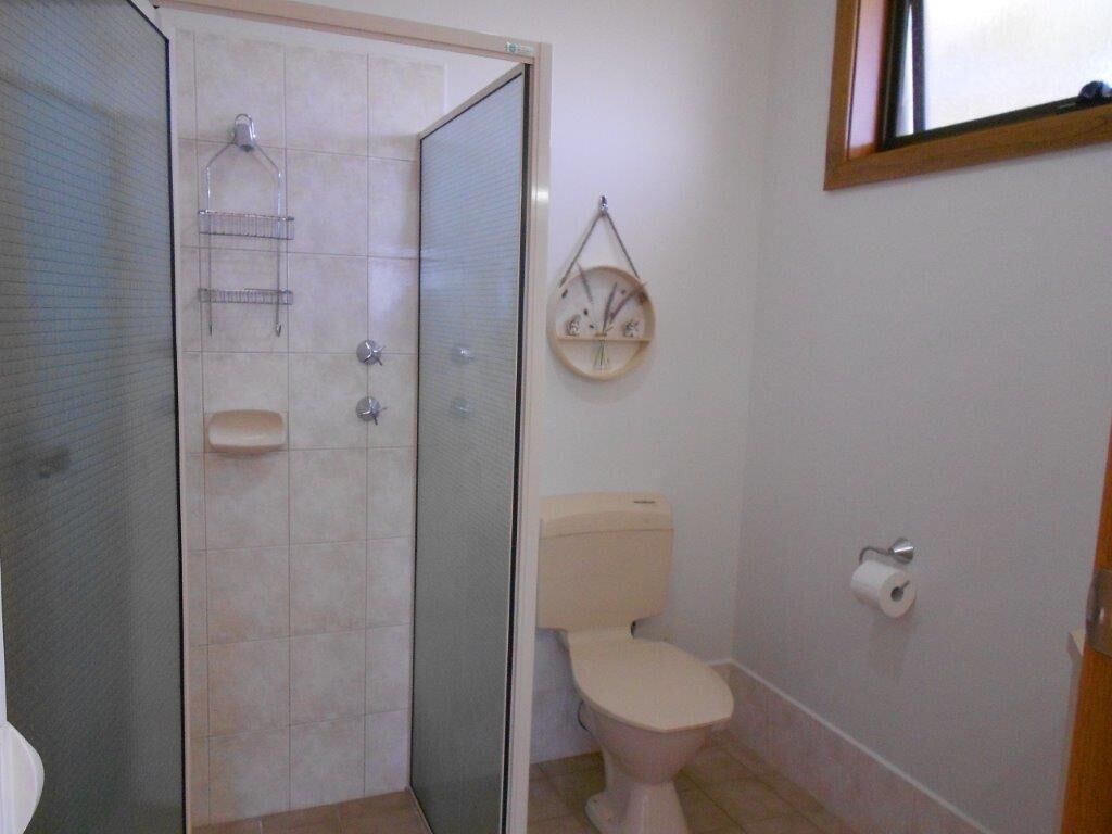 Secador de cabelo, toalhas de banho, shampoo, papel higiênico